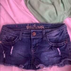 WallFlower Denim Shorts